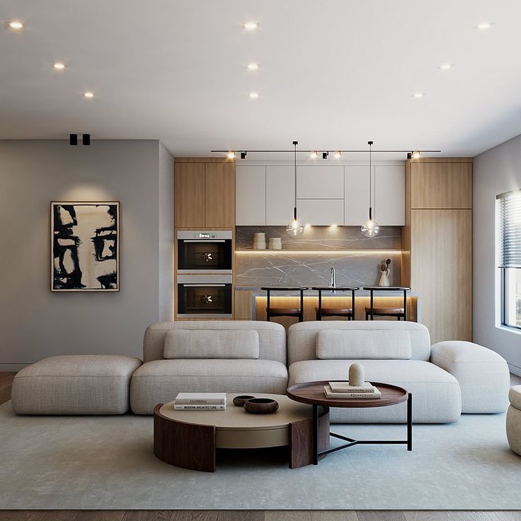 سید محمد علی جمشیدی-project