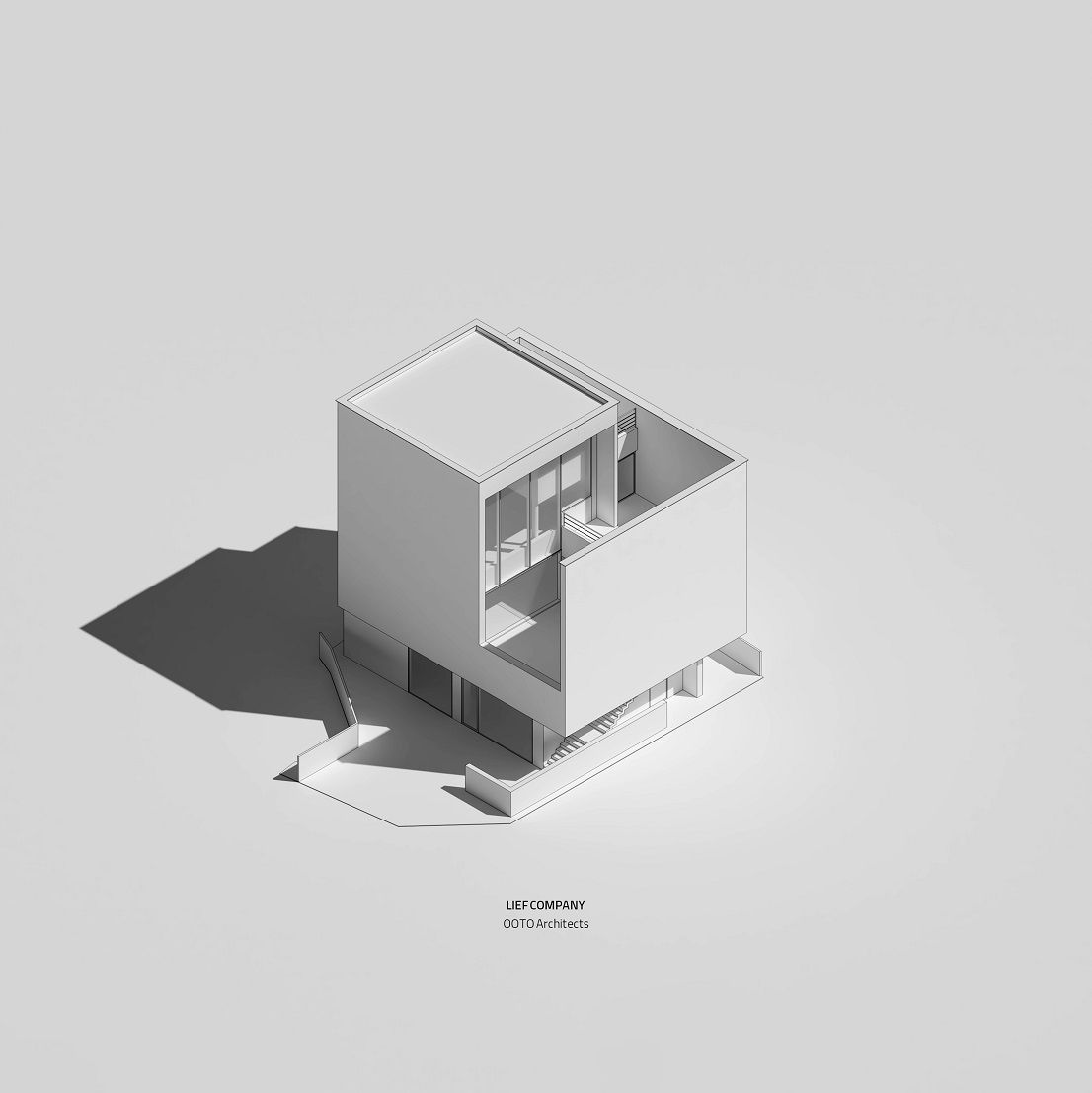 یاسمن فودژ-project